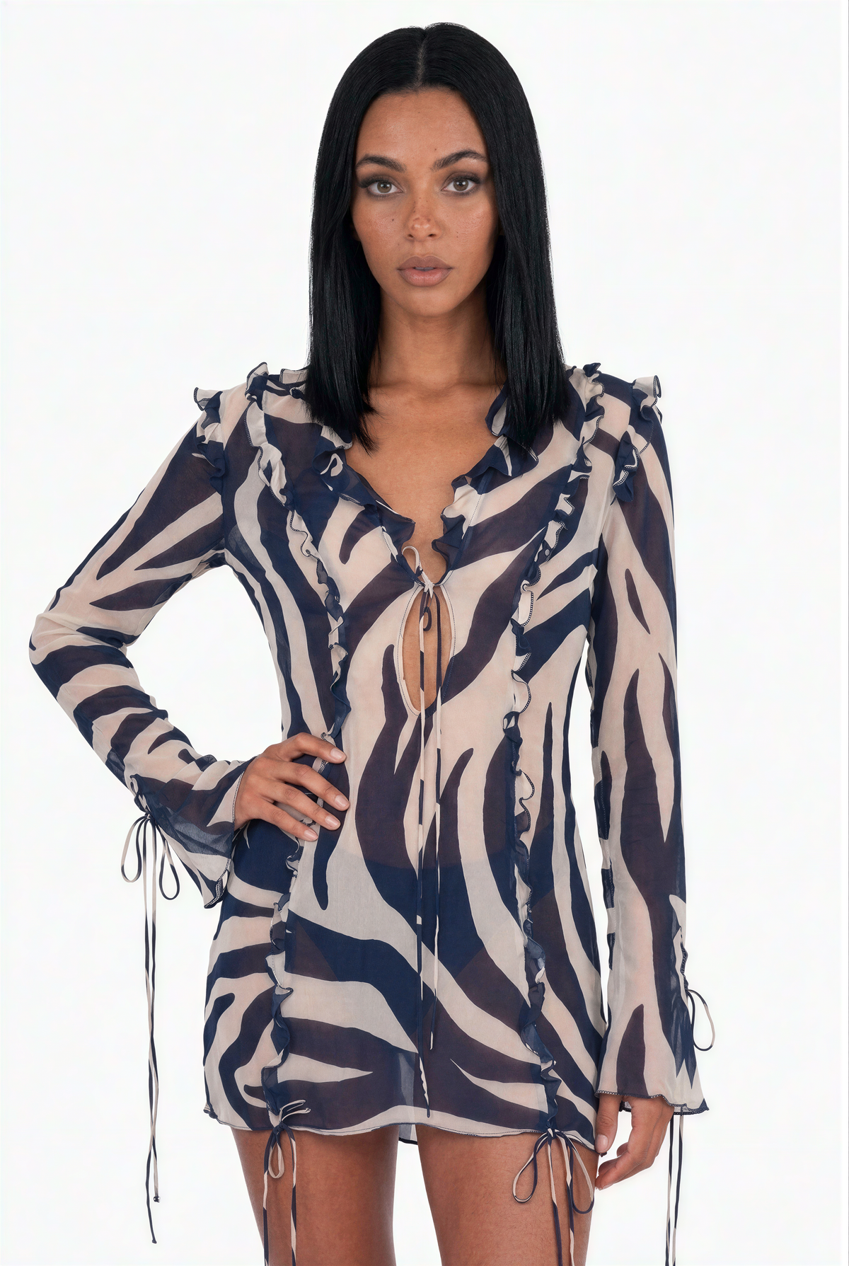 Sheer Zebra Print Ruffle Mini Dress