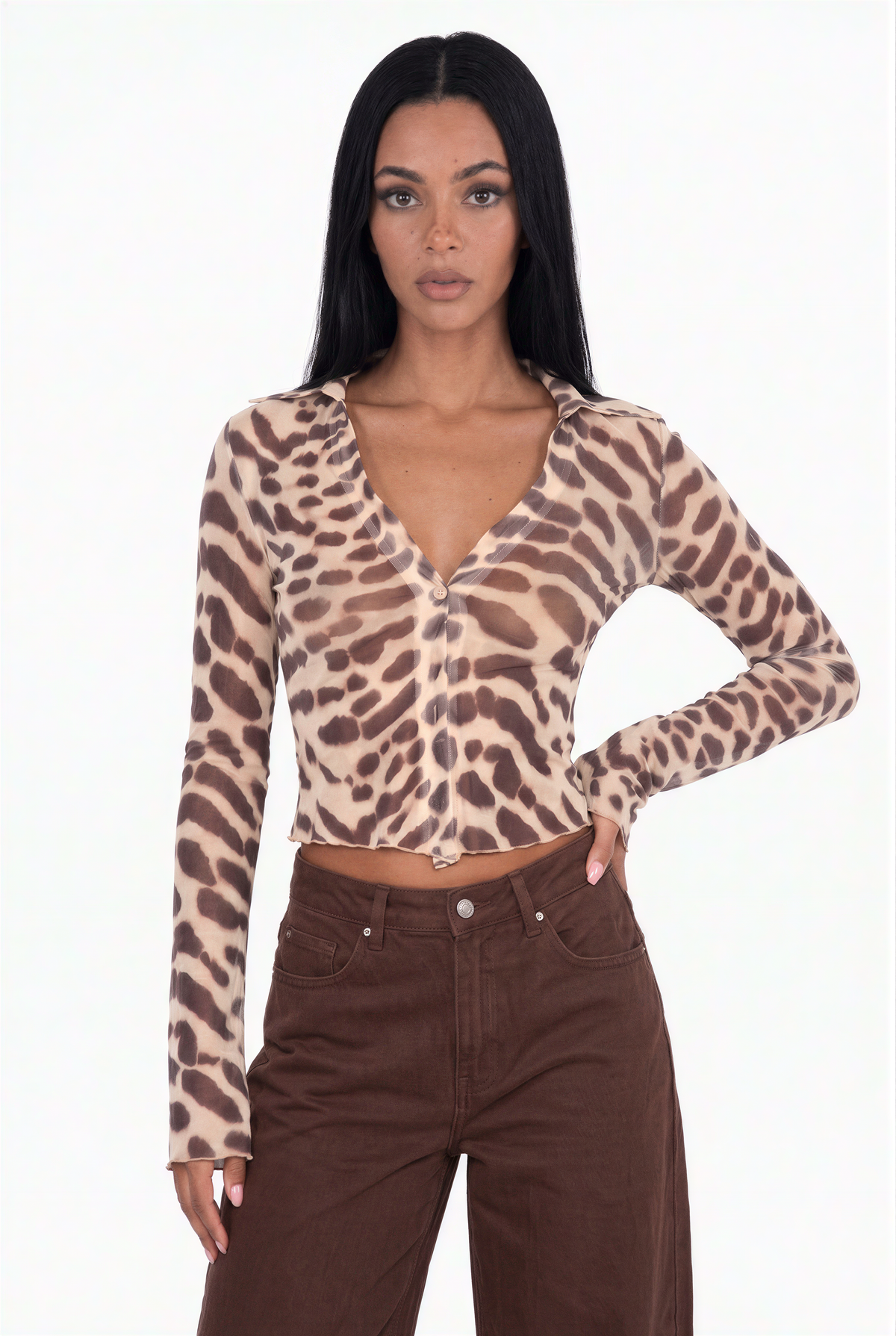 Animal Print Sheer Button-Up Top